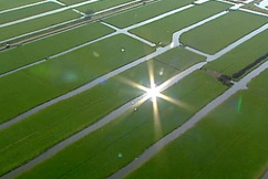 provincie Zuid-Holland